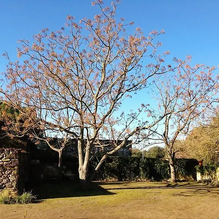 팜스테이 Tenuta Sant'andrea *