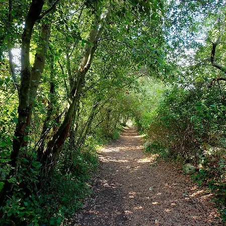 팜스테이 Tenuta Sant'andrea 무로 레체세