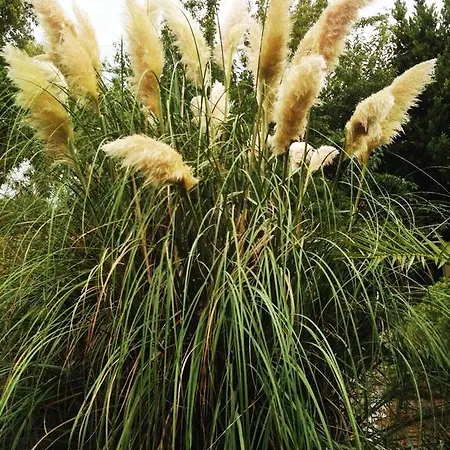 Tenuta Sant'andrea 팜스테이 무로 레체세