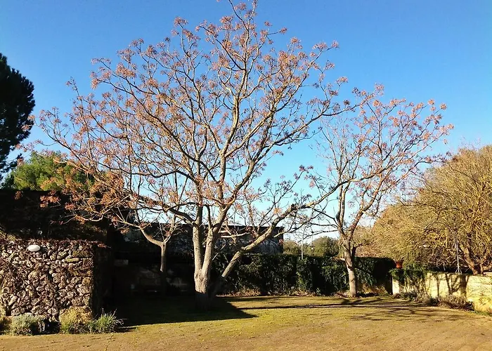 Alojamento de Turismo Rural Tenuta Sant'andrea *