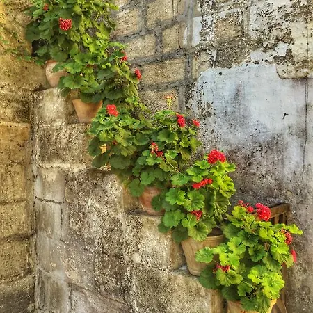 Tenuta Sant'andrea Farm stay
