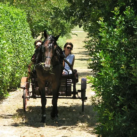 Farm stay Tenuta Sant'andrea *