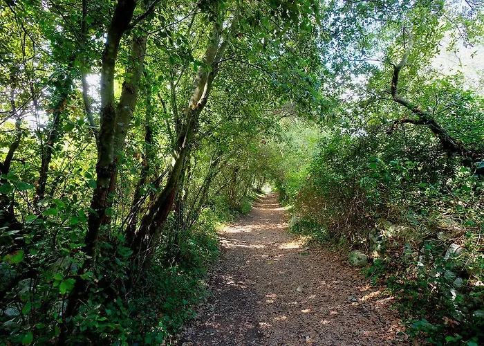 בית חווה Tenuta Sant'andrea מורו לצ'זה