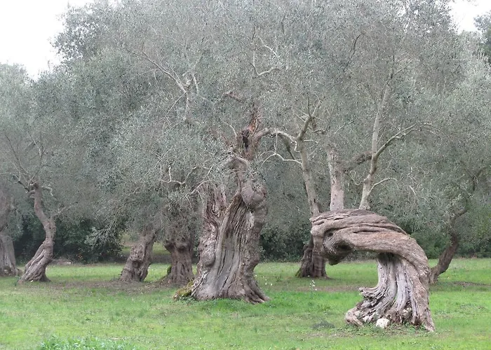 Κατάλυμα σε φάρμα Tenuta Sant'andrea *