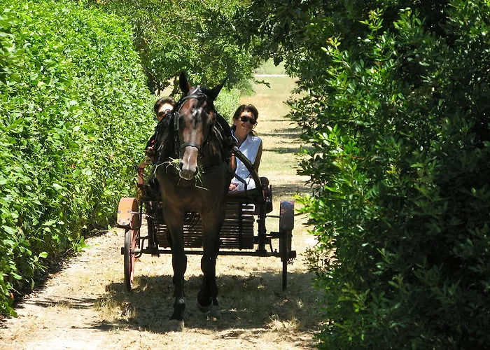 בית חווה Tenuta Sant'andrea *